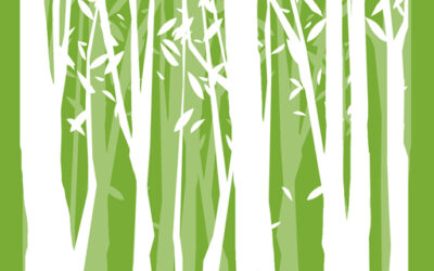 Un(e) chargé(e) de mission environnement