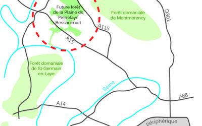 Une forêt intégrée à son environnement
