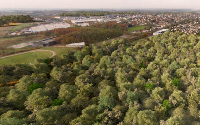 Améliorer l’image de la plaine et remédier aux dégradations de tous types