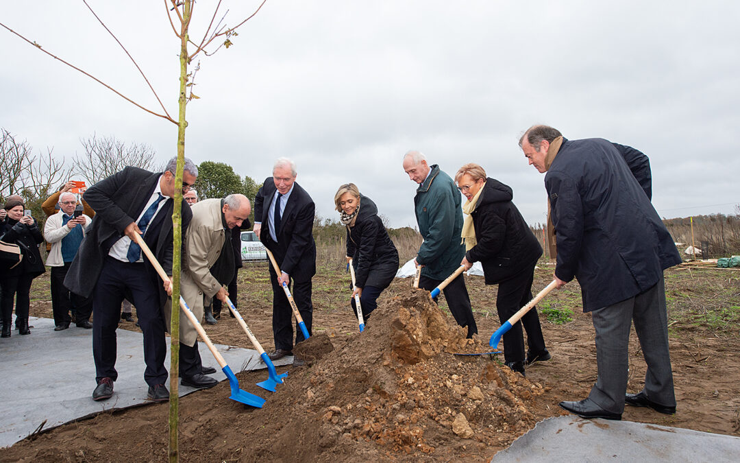 Plantation du premier arbre de la forêt de la plaine de Pierrelaye-Bessancourt