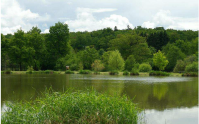 Évaluation environnementale