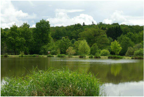 Évaluation environnementale