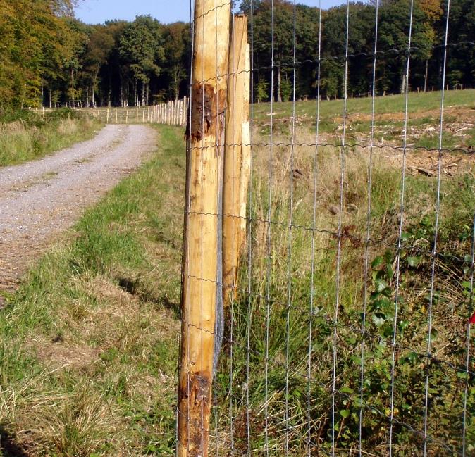 Travaux dans le bois de la Garenne de Maubuisson