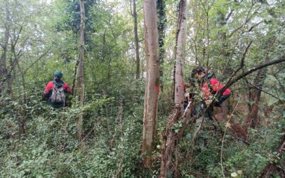 Le SMAPP sécurise le bois de la Garenne de Maubuisson