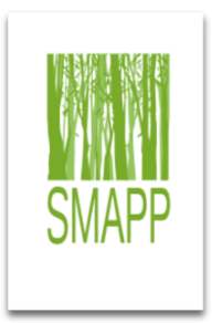 Smapp Foret