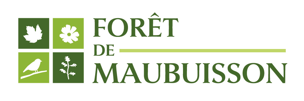 Smapp Foret